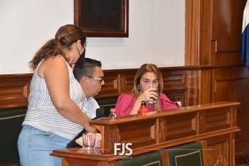 Pleno ordinario de julio de 2022/Francisco Javier Santana.